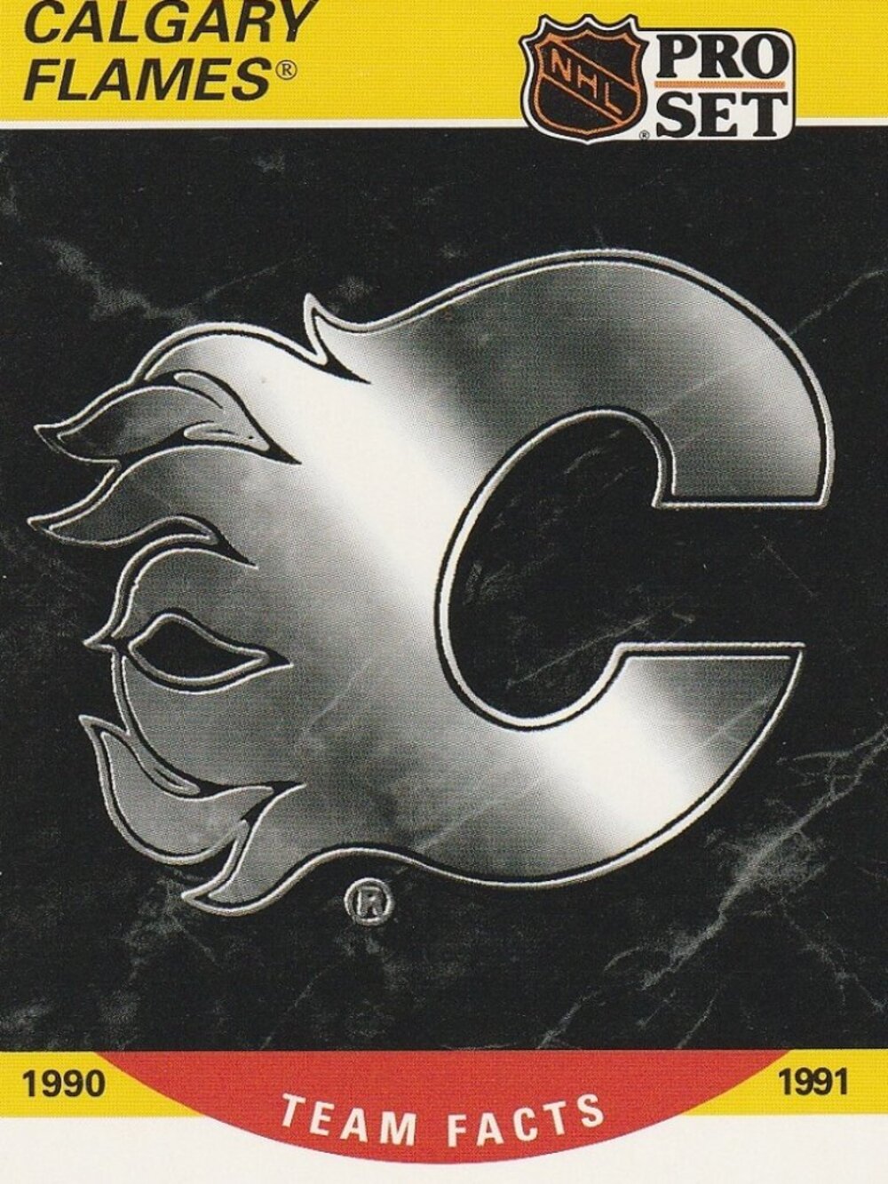Calgary Flames Team Facts 1990-1991